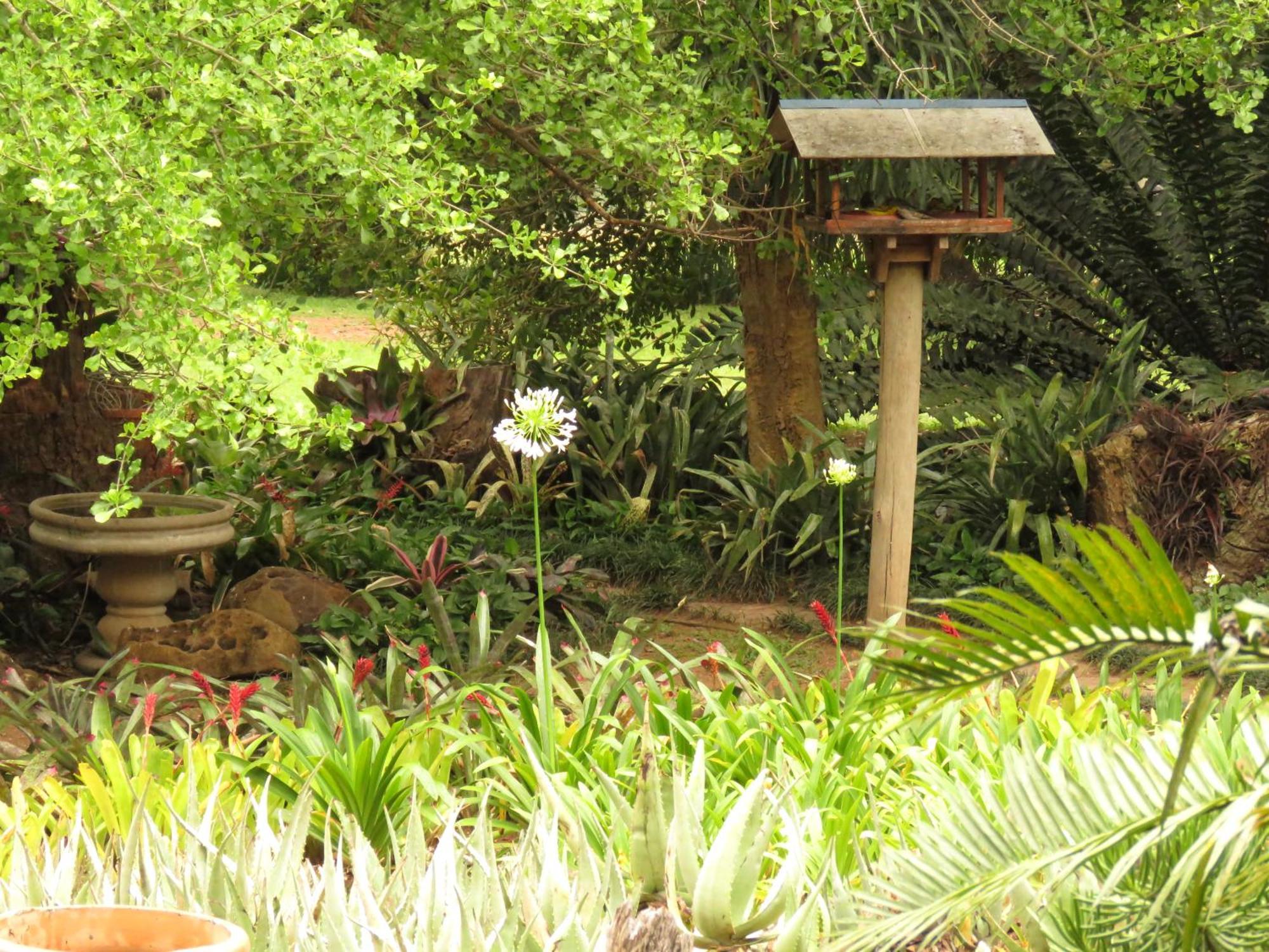 Kiaat Bungalows Hazyview Extérieur photo