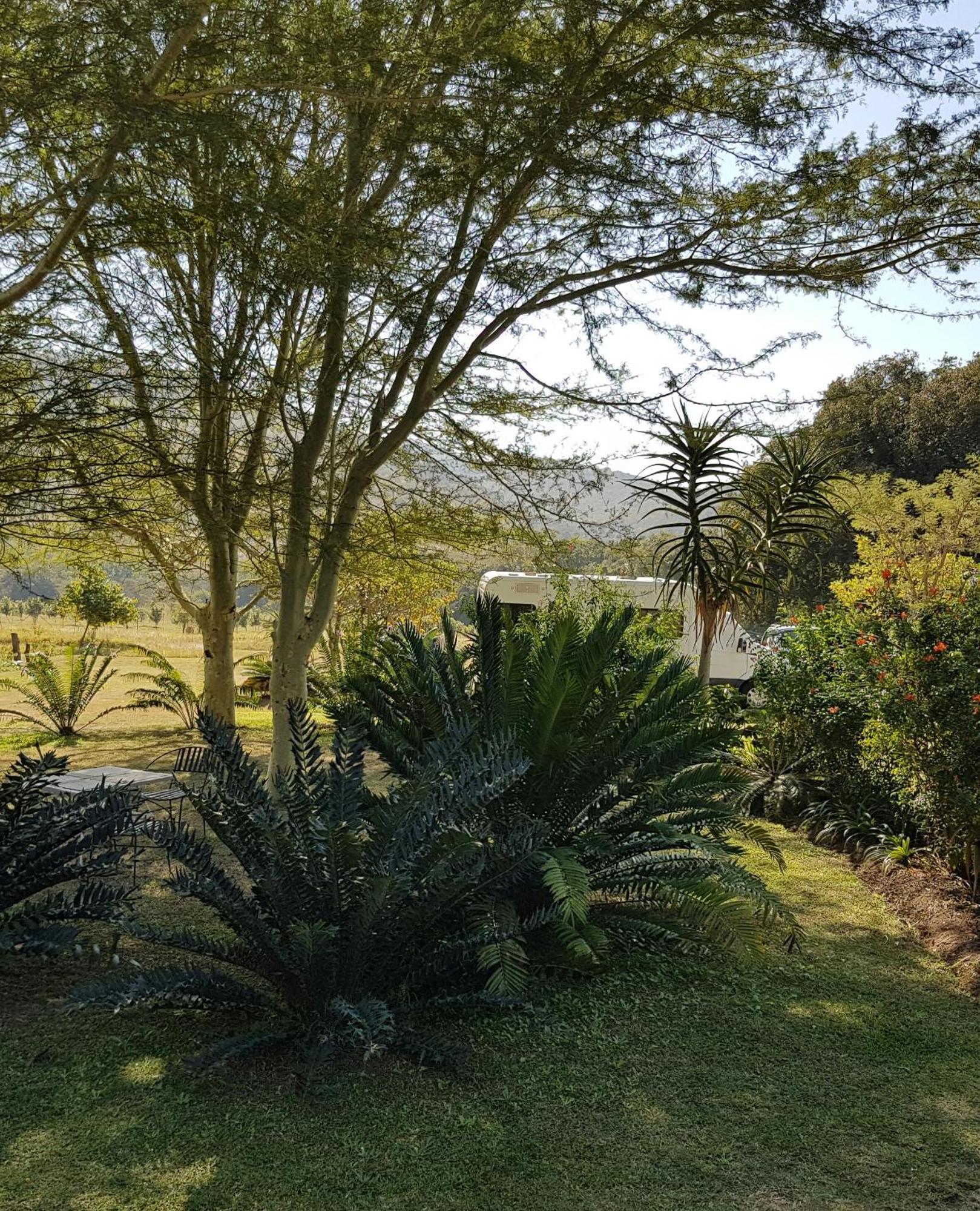 Kiaat Bungalows Hazyview Extérieur photo